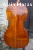 Violoncelle